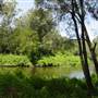 Lane Cove National Park