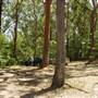 Lane Cove National Park