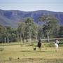 Megalong Valley
