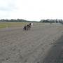 Menangle Park Paceway