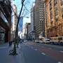 Elizabeth Street, Sydney