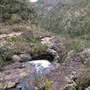 Ellenborough Falls