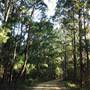 Barrington Tops National Park