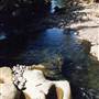 Barrington Tops National Park