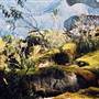 Barrington Tops National Park