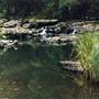 Barrington Tops National Park