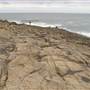 Bass Point Reserve to Maloneys Bay