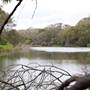 Berrima Reserve