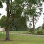 Berry Area Farms