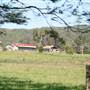 Berry Area Farms