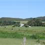 Berry Area Farms