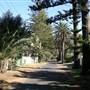 Bilgola Beach