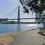 Blackwattle Bay Park