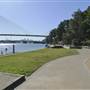 Blackwattle Bay Park