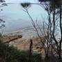 Blenheim Beach