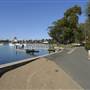 Blackwattle Bay Park