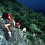 Lord Howe Island