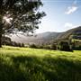 Jamberoo