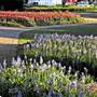 Bowral - Southern Highlands