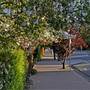 Bowral - Southern Highlands