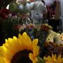 Paddington Markets