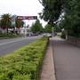Wagga Wagga