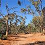 Broken Hill Area (Inc. Silverton)