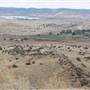 BROKEN HILL SURROUNDS 2012