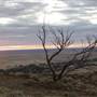BROKEN HILL, OUTCROPS & SURROUNDS 2012