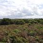 Broughton Island
