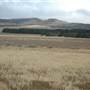 Bungendore Sand Mine