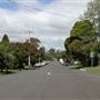Burrawang - Southern Highlands