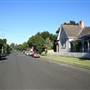 Burrawang - Southern Highlands