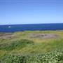 Cape Banks