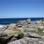 Cape Banks