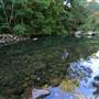 Canyon Park