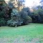 Canyon Park