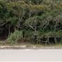 Cape Byron