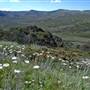 Charlotte Pass