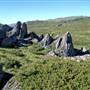 Charlotte Pass