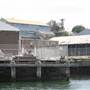 Cockatoo Island - from water
