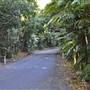Coffs Harbour