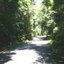 Coffs Harbour