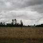 Collingullie