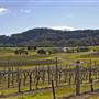 Coolangatta Estate