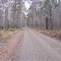 Coolah Tops National Park