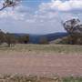Coolah Tops National Park