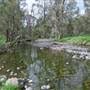 Coolah Tops National Park