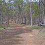 Coolah Tops National Park