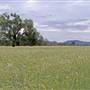 Coonabarabran Area